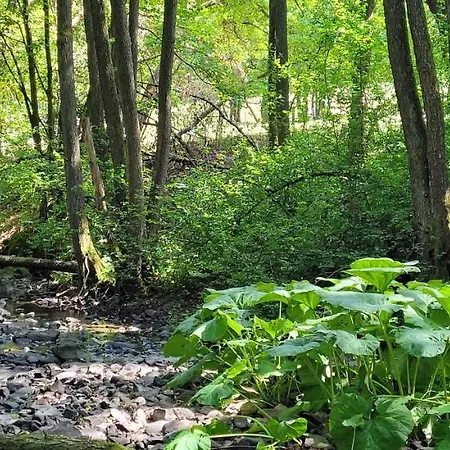 Betzemuehle 2 Bauernhof Διαμέρισμα Altenschlirf