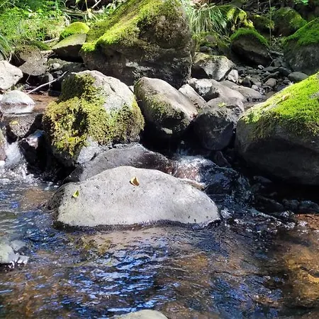 Betzemuehle 2 Bauernhof Διαμέρισμα *