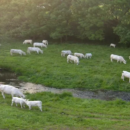 Betzemuehle 2 Bauernhof Διαμέρισμα *