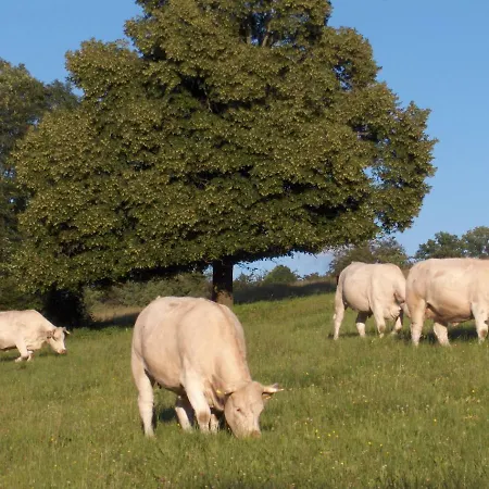 Betzemuehle 2 Bauernhof * Altenschlirf