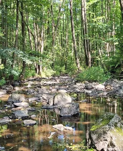 Betzemuehle 2 Bauernhof Altenschlirf