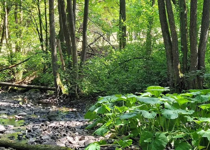 Betzemuehle 2 Bauernhof アパート Altenschlirf