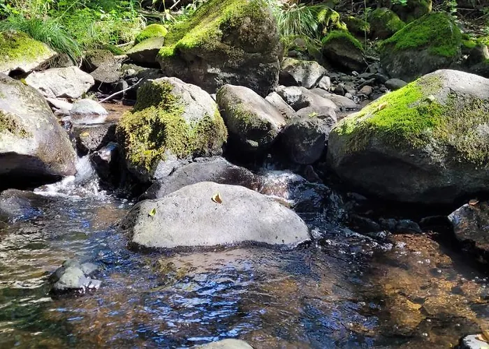 Betzemuehle 2 Bauernhof アパート *