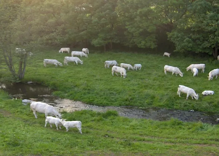 Betzemuehle 2 Bauernhof アパート *