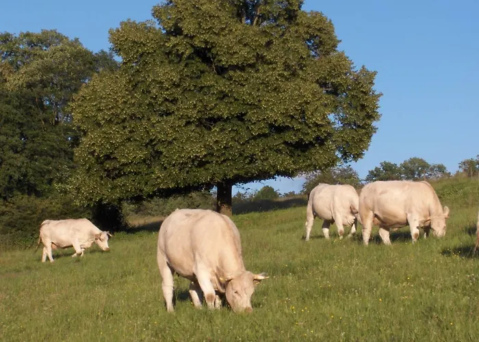 Betzemuehle 2 Bauernhof * Altenschlirf